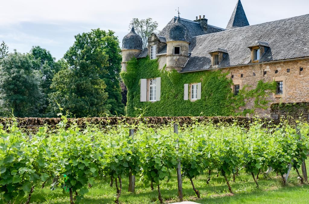 Chateau De Labro - Teritoria Onet-le-Chateau Ngoại thất bức ảnh