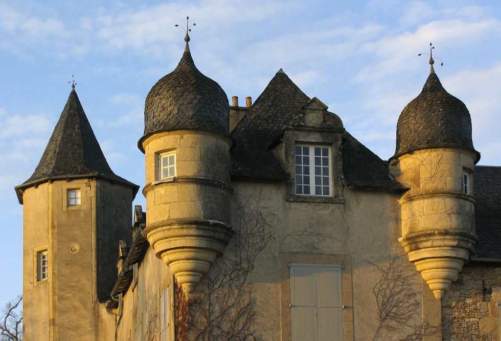 Chateau De Labro - Teritoria Onet-le-Chateau Ngoại thất bức ảnh